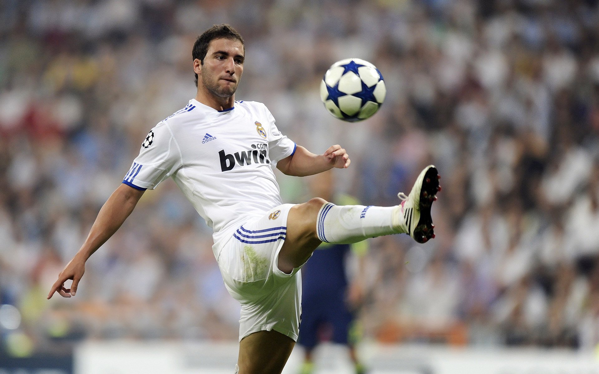 “阿根廷美洲狮队稳步前行,目标瞄准橄榄球未来”